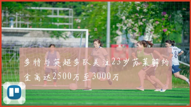 多特与英超多队关注23岁苏莱解约金高达2500万至3000万